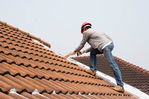 Siding in Lakewood Ranch, FL